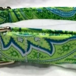 Paisley dog collar, green dog collar, paisley green dog collar, Paisley martingale collar, buckle dog collar, dog collar and leash, dog gift