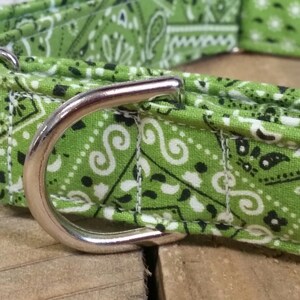 May include: Green and white bandana print dog collar with a silver metal buckle.