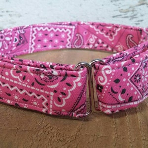 May include: Pink and black bandana print dog collar with a silver buckle.