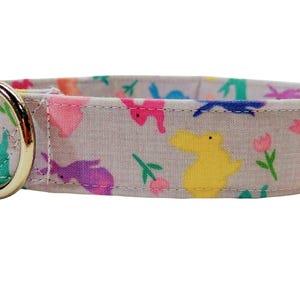 Spring bunny Easter dog collar, easter dog collar, Easter egg martingale dog, Easter dog collar, spring martingale dog collar, leash