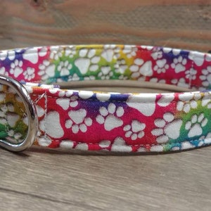 Rainbow paws dog collar, dog collar, paws dog collar, rainbow dog collar, paw martingale collar, colorful martingale, dog gifts, leash