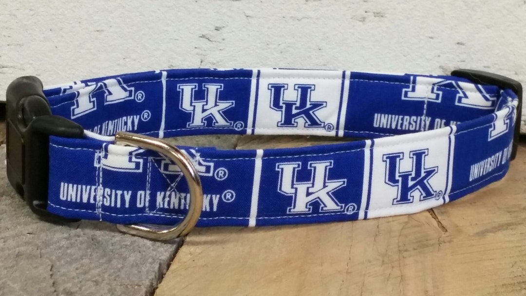 University of Kentucky Dog Collar, Kentucky Wildcat Dog Collar, Kentucky Wildcat Martingale Dog