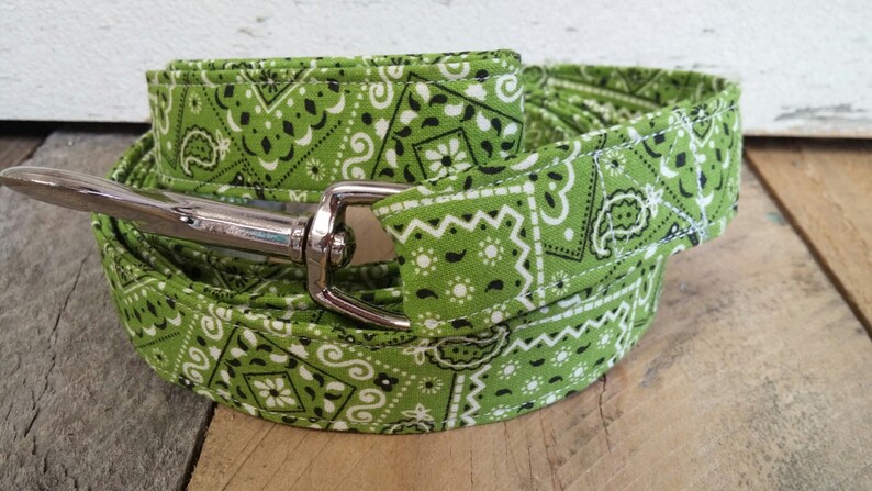 May include: Green and white bandana patterned dog leash with a silver clip.