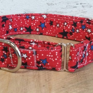 4th of July dog collar, patroitic dog collar, martingale dog collar, red, white and blue dog collar,July 4th dog collar.dog collar and leash
