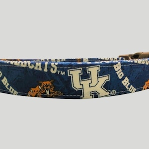 University of Kentucky dog collar, Kentucky Wildcat dog collar, Kentucky Wildcat martingale dog collar, University of Kentucky martingale