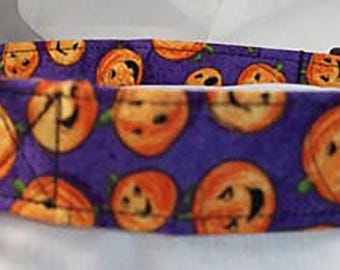 Halloween dog collar, Pumpkin dog collar, halloween martingale collar, purple dog collar, holiday dog collar, pumpkin martingale, leash