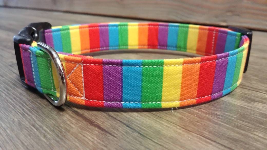 pride dog collar
