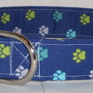 May include: Blue dog collar with a paw print pattern in green, turquoise, and white.