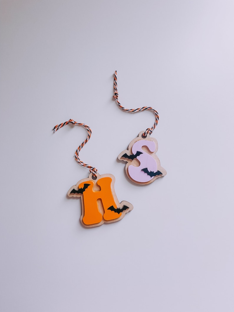 May include: Two wooden Halloween ornaments, one orange and one pink, shaped like the letters "H" and "S" with black bats on them. Each ornament has a string attached.