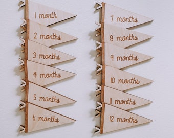 Monthly Milestone Markers, Baby Milestone Markers, Neutral Milestone Marker, Milestone Cards, Monthly Milestones, Pennant Milestone Marker