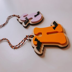 May include: Two wooden Halloween ornaments shaped like the letters "H" and "O" with bats attached. The "H" is orange and the "O" is purple. Both ornaments have twine attached for hanging.