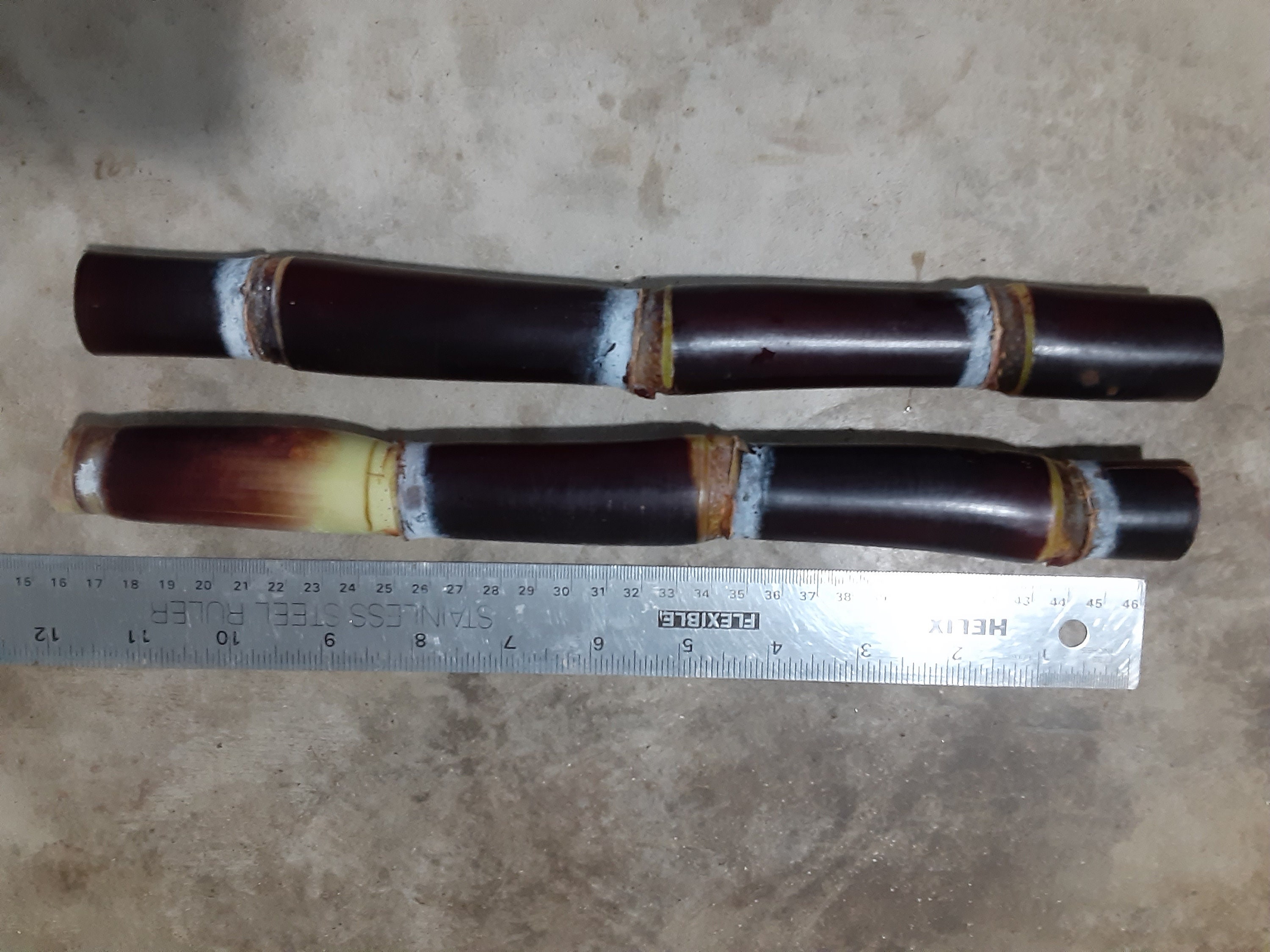 2x Asian Black Sugar Cane. 10 Inches Pieces. Easy to Grow and Very