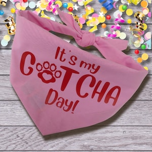 Handmade Gotcha day dog bandana in many colour choices |  customisable puppy scarf | Gotcha Day gift for rescue dog | party dog accessory