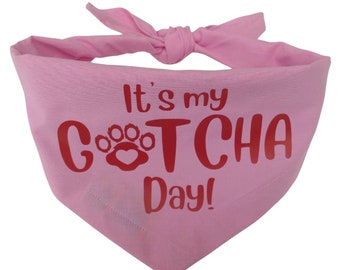 It's my Gotcha Day dog bandana / Pink Gotcha Day bandanas / Gotcha Day gift for rescue dog / party dog accessory