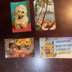 May include: Four vintage postcards. One features a fluffy dog with the text "What Gives?". Another depicts a tropical beach scene with palm trees. The third shows two dogs with the text "We Miss You!". The last one has a barrel of monkeys and the text "We're having more fun than a barrel of monkeys!"