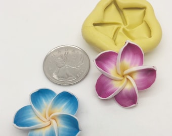 May include: Two handmade polymer clay plumeria flowers, one blue and white, one pink and white, with a silicone mold for making more flowers. The flowers are about the size of a Canadian quarter.