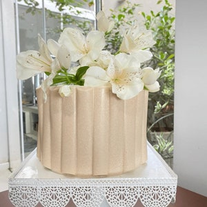 Origami Cake  Semicylindrical  - 10153
