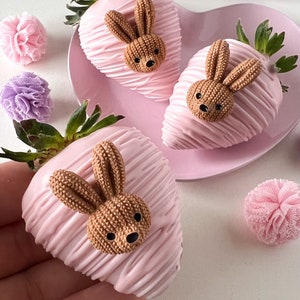 Bunny Rabbit Animal Easter Silicone Mold