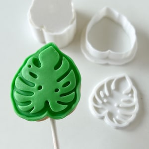 Monstera leaf Safari , Tropical  cake pop mold with fondant stamp