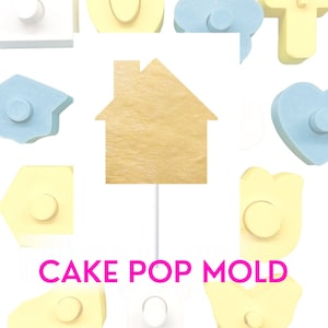 House Cake Pop Mold