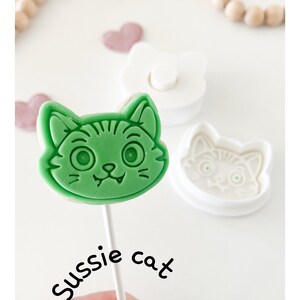 May include: A green cat-shaped lollipop on a white stick, with the text "Sussie cat". A white cat-shaped cookie cutter and a white stamp are also visible. Pink heart-shaped decorations and wooden beads are in the background.