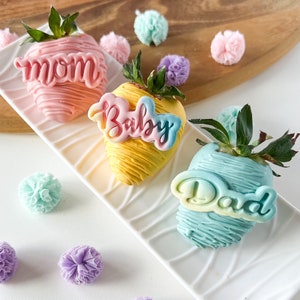 Baby, Mom & Dad Fondant Stempel und Ausstecher