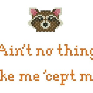 May include: A pixelated image of a raccoon with the text "Ain't no thing like me 'cept me."
