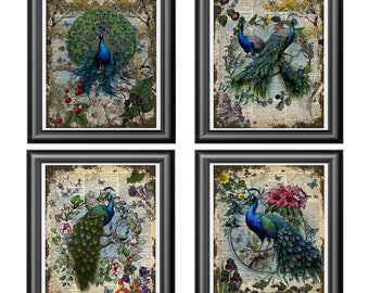 Peacock Dictionary Print, Peacock Wall Art, Peacock Art Print, Peacock Art Print, Peacock Decor, peacock set