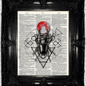 Könnte beinhalten: Eine Schwarzweißillustration eines Hirschkäfers, die über eine Seite aus einem alten Wörterbuch gelegt wurde. Der Käfer ist von geometrischen Formen und einem roten Kreis umgeben. Der Text auf der Seite ist in Englisch.