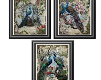 Peacocks Art prints on dictionary book pages, Peacock Wall Decor Set of 3.