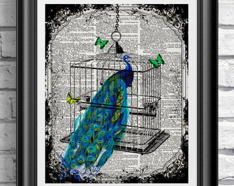 Peacock Bird cage print on antique dictionary page, Peacock and butteflies on old book page print. wall decor, wall art DICTIONARY