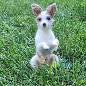 Custom Needle Felted - Realistic Chihuahua replica - Dog portrait - Needle felt animals - Felted dog sculpture - Dog lovers