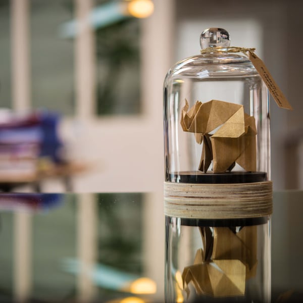 Origami Sculpture Elephant. Taxidermie. Decoration Tropical Or. Cabinet Curiosité. Cadeau Naissance. Cadeau personnalisable pour elle