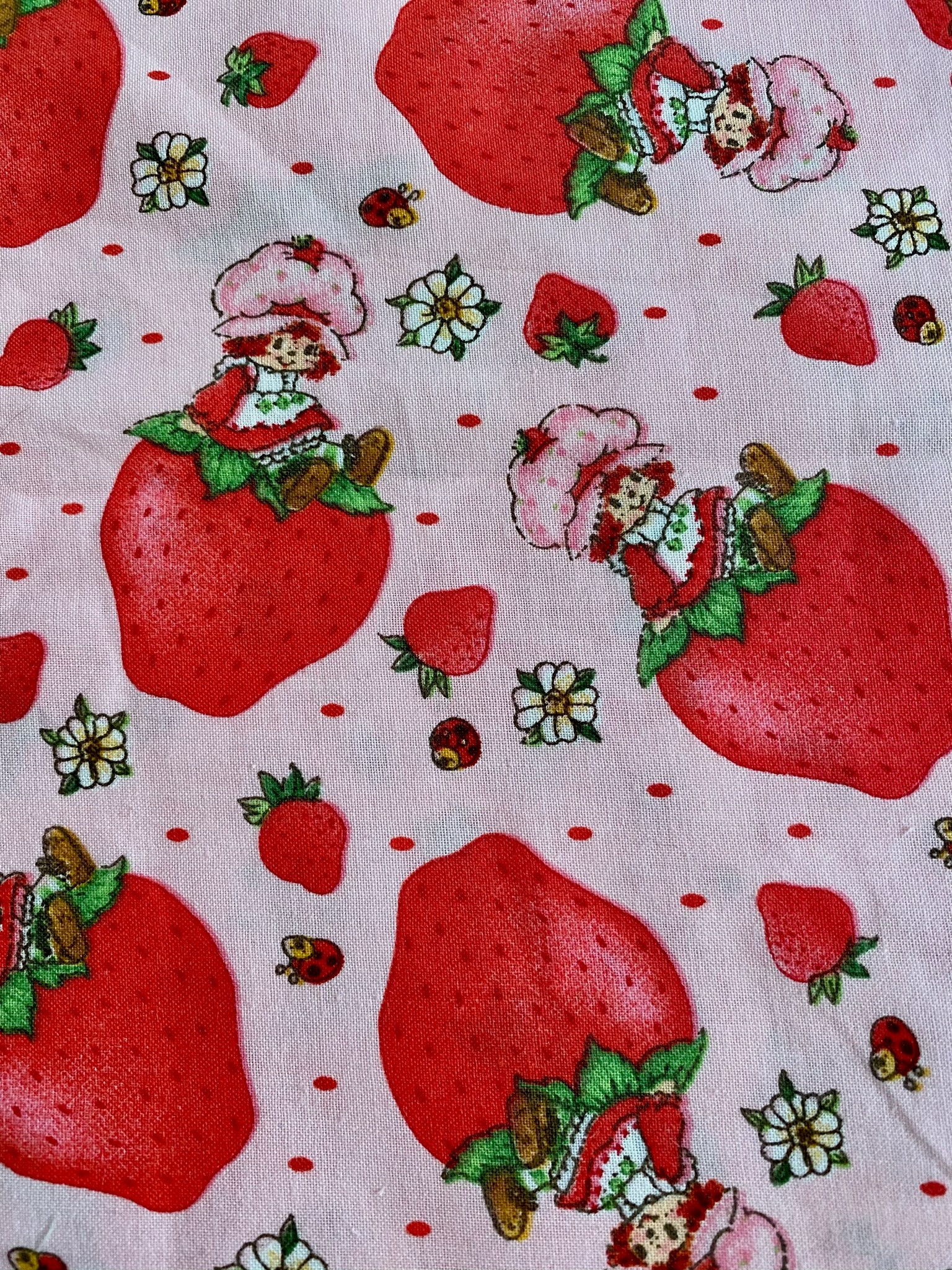 Strawberry Ribbed Knit Fabric