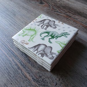 Dinosaur Coasters, Dino Coasters