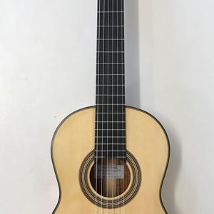 Classical Guitar - Torres Copy