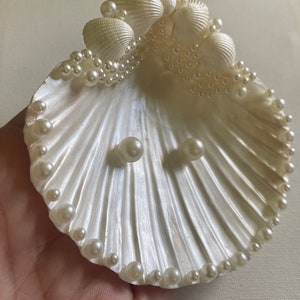 K&ouml;nnte beinhalten: Eine wei&szlig;e Muschel mit einem Perlensaum und zwei Perlen in der Mitte. Die Muschel ist eine dekorative Schale f&uuml;r Schmuck oder andere kleine Gegenst&auml;nde.