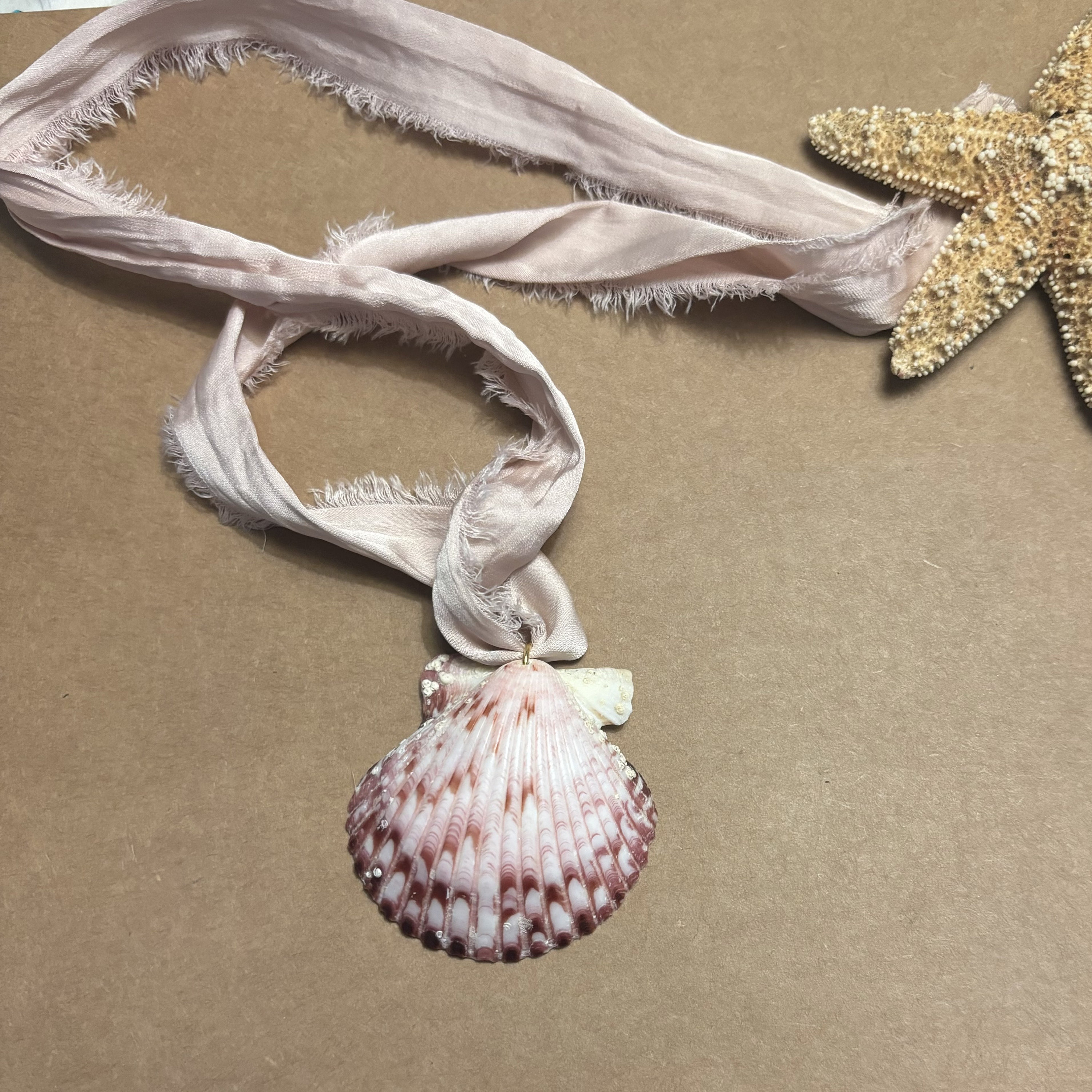 Shell With Ribbon Seashell Necklace: Silk Ribbon, Calico Scallop Shell, Beach Jewelry - Etsy