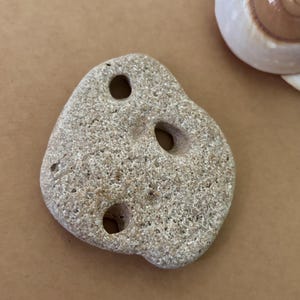 Holey Coral Rock, Fossil Odin Stone, Beach Decor