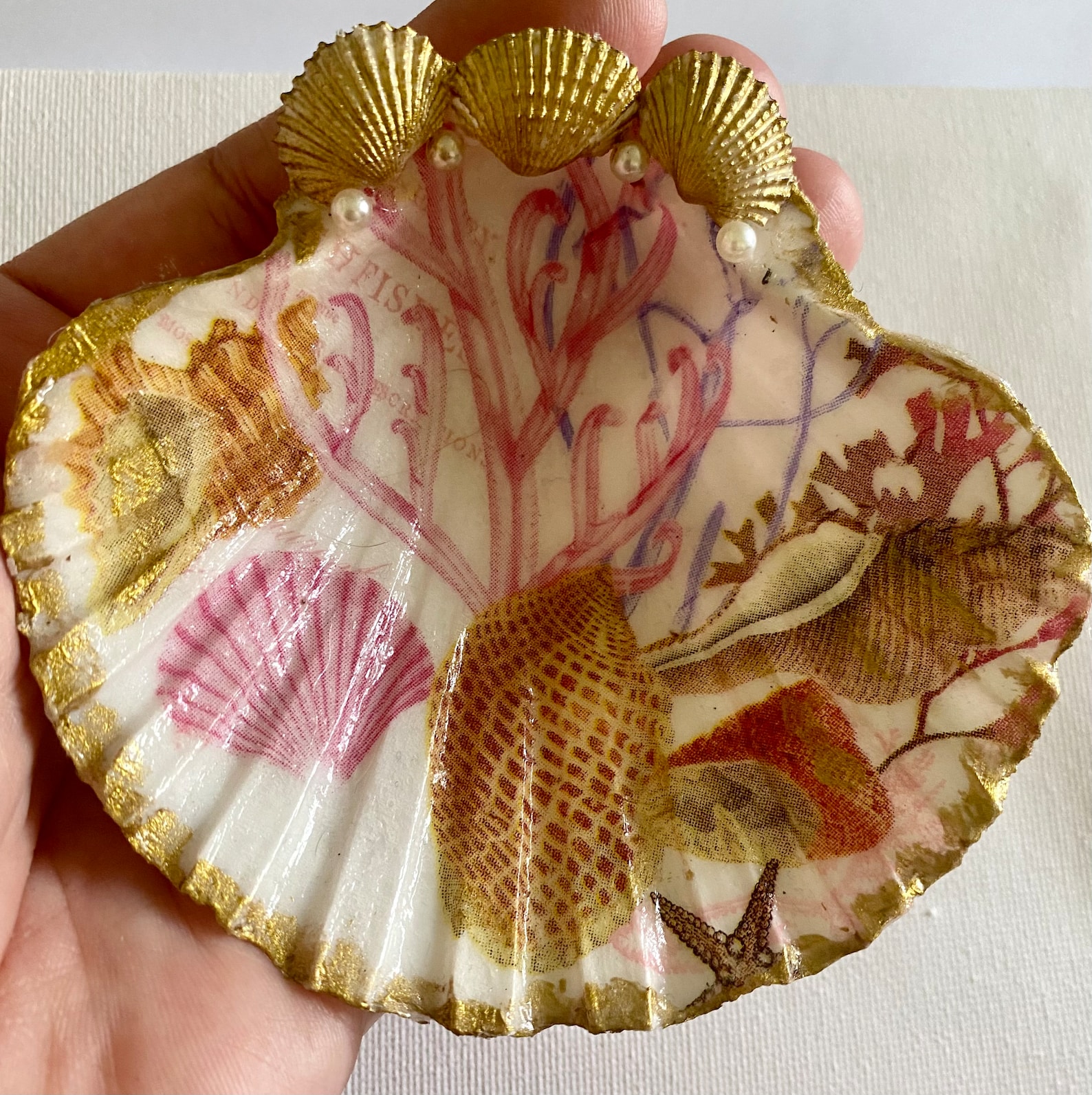 Sea Shells Ring Dish Decoupaged Scallop Shell Beach Decor Coastal Life ...