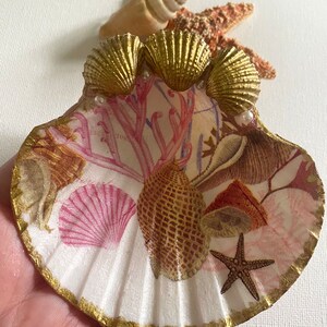 May include: A white seashell ring dish with a gold trim and a pink and brown seashell design. Three gold seashells are glued to the top of the dish, and there are two white pearl accents.