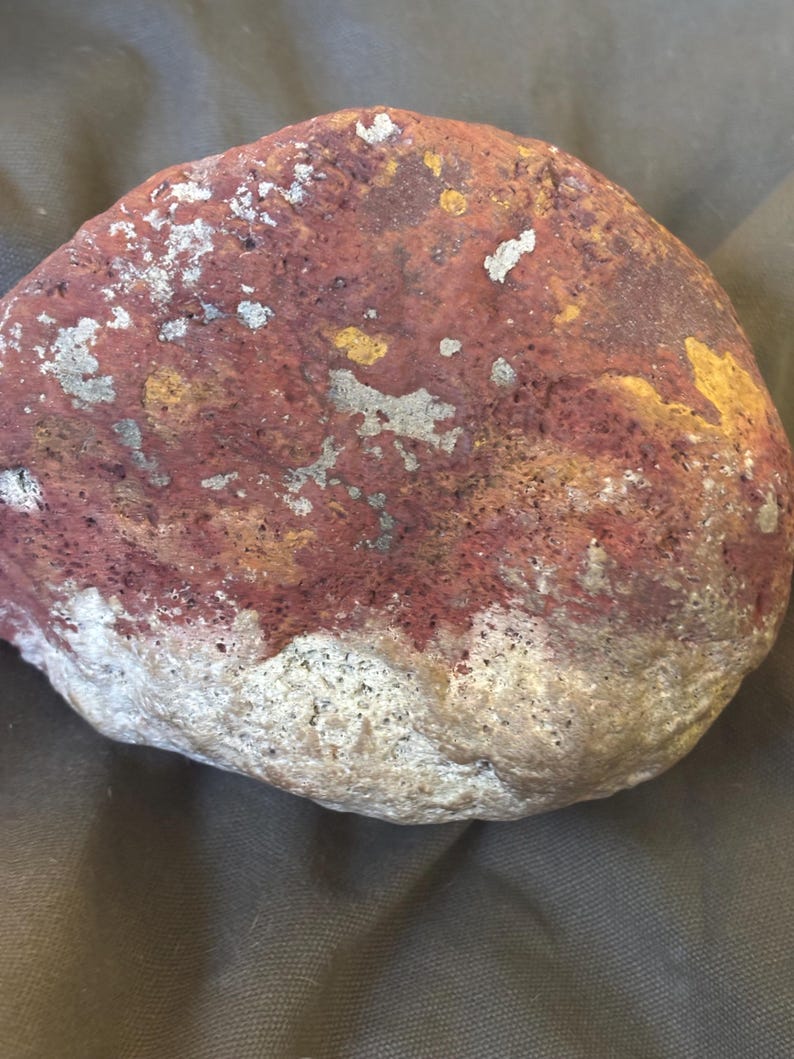 Florida Beach Pudding Stone Rare Mineral Sea Rock Decor - Etsy