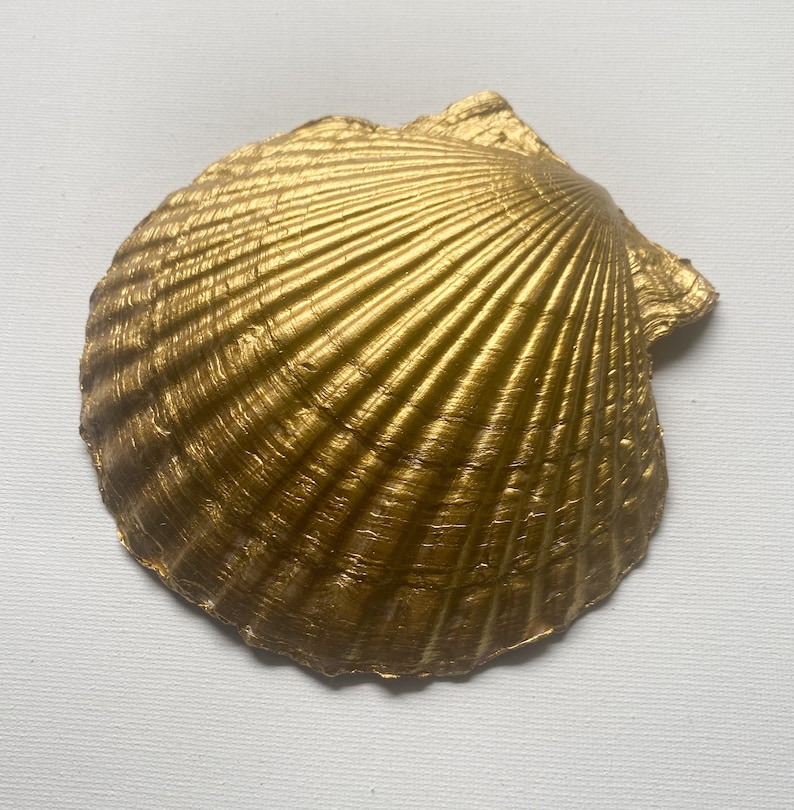 May include: A golden seashell with a ribbed texture. The shell is a natural object that has been painted gold.