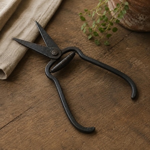 Old Pruning Shears - Etsy