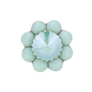 May include: A light blue crystal flower charm with a clear centre stone.