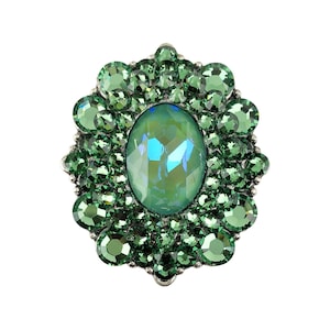Pode incluir: Broche ovalado de pedras preciosas verdes com uma moldura de metal prateado. O broche apresenta uma grande pedra oval central rodeada por pedras verdes redondas menores. As pedras são facetadas, criando um efeito brilhante. O design é ornamentado e elegante.