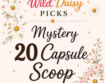 20 Capsule Mystery Scoop, Wild Daisy Picks Capsule Pull, Mystery Scoop, Bookish Journaling, Home and Handy Items, Relaxation Self Care Items