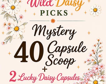40 Capsule Mystery Scoop, Wild Daisy Picks Capsule Pull, Mystery Scoop, Bookish Journaling, Home and Handy Items, Relaxation Self Care Items