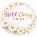 Wild Daisy Picks