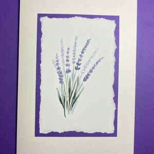 Fleurs lilas